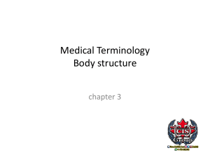 Medical Terminology Body Structure Chapter 3