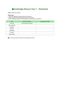 Cambridge Science Year 7 Homework: Plant & Animal Cells