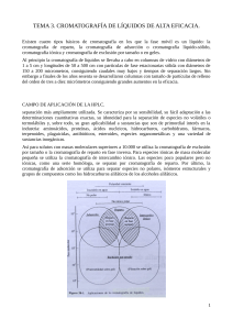 Cromatograf&iacute;a de L&iacute;quidos de Alta Eficacia (HPLC)