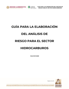 Gu&iacute;a para an&aacute;lisis de riesgo en el sector hidrocarburos