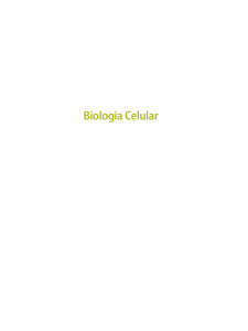 Biologia Celular: Estrutura e Fun&ccedil;&atilde;o Celular
