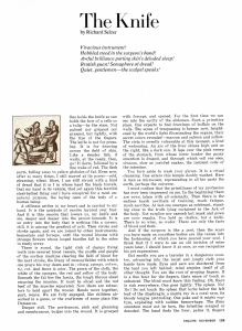 The Knife by Richard Selzer: A Surgical Journey