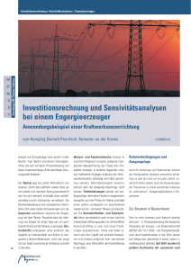 Investitionsrechnung und Sensitivit&auml;tsanalysen bei Energieerzeugern