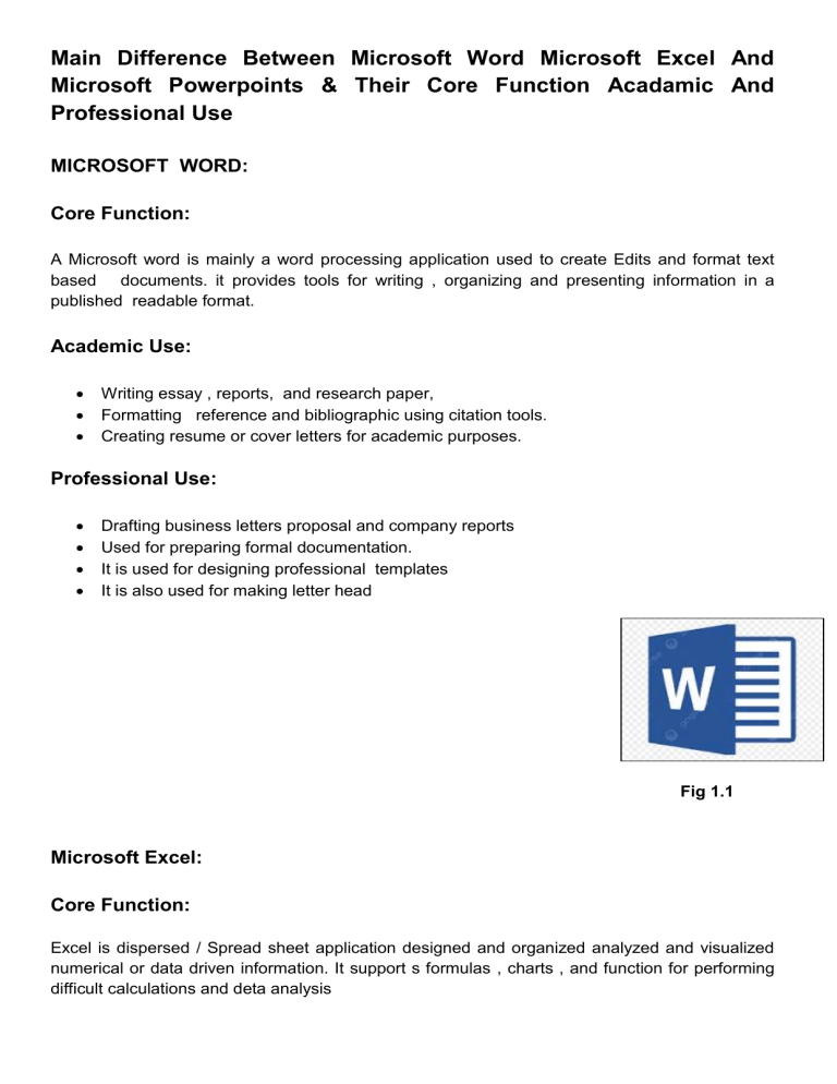 Main Differences: Word, Excel, PowerPoint