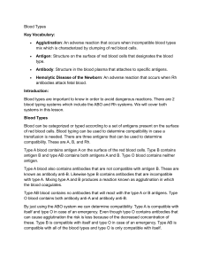 Blood Types: ABO and Rh Systems Explained