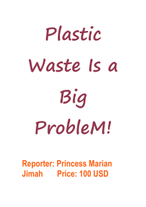 Plastic Waste: A Big Problem