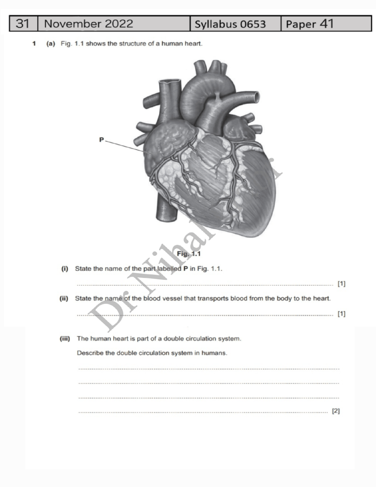 IGCSE Biology Exam Paper: Human Heart Structure