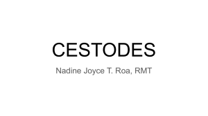 CESTODES: Tapeworms in Parasitology