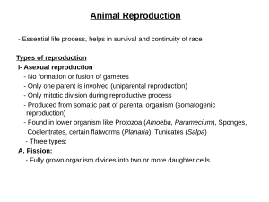 Animal Reproduction: Asexual & Sexual Types