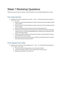 Microeconomics Workshop Questions: Firm Output & Market Decisions