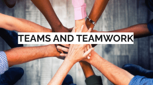 Teams and Teamwork: Types, Stages, and Processes