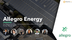 Allegro Energy US LDES Market Strategy Report