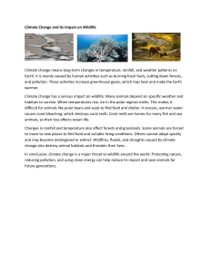 Climate Change Impact on Wildlife
