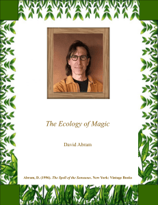 The Ecology of Magic: David Abram on Indigenous Magic and Ecology