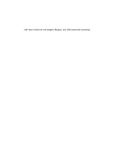 Individual Reflection on Enterprise Projects and Skills