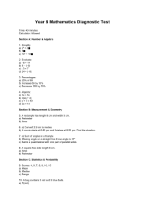 Year 8 Mathematics Diagnostic Test