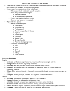 Endocrine System Basics: Hormones & Glands