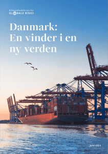 Danmark: En vinder i en ny verden - Rapport om globalisering og erhvervspolitik