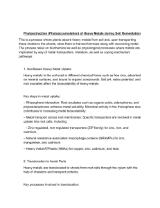 Phytoextraction of Heavy Metals in Soil Remediation