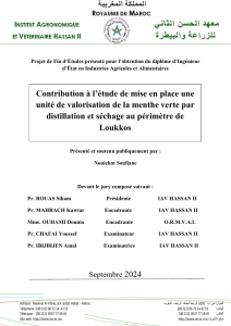 &Eacute;tude de valorisation de la menthe verte par distillation et s&eacute;chage