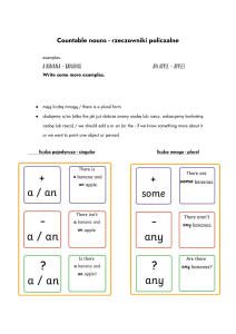 Rzeczowniki policzalne i niepoliczalne - angielski dla początkujących