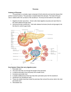 Pancreas Anatomy & Functions: Exocrine/Endocrine Systems