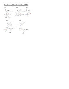 Base Catalyzed Hydrolysis of RNA & DNA