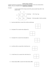 Punnett Square Worksheet: Monohybrid Crosses Practice