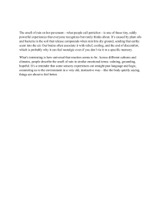 What is Petrichor? The Science of Rain's Scent