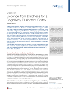 Evidence from Blindness for a Cognitively Pluripotent Cortex