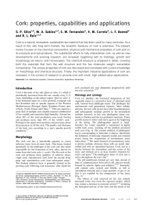 Cork: Properties, Capabilities, and Applications Review