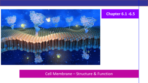 Cell Membrane Structure & Function Chapter 6.1-6.5