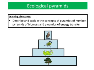 Ecological Pyramids: Number, Biomass, Energy