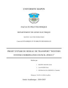 Projet de Master : Stabilit&eacute; et R&eacute;glage du R&eacute;seau WSCC